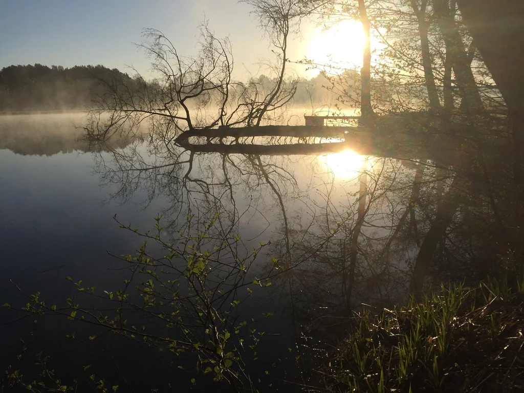 Sonnenaufgang am Wasser in der Lüneburger Heide