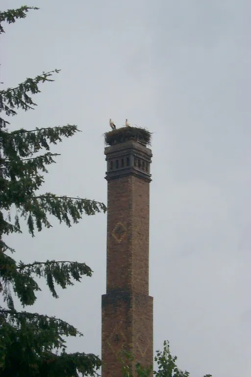 Störche in Winsen